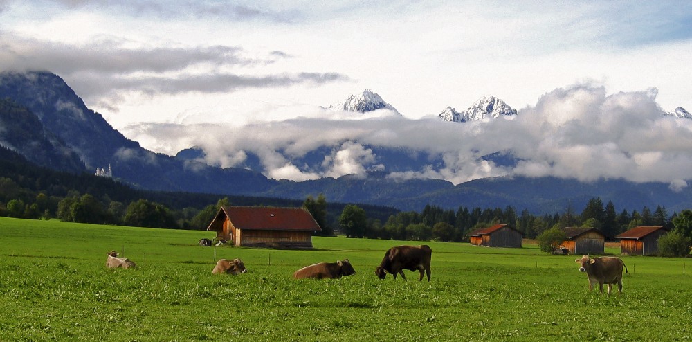 5. Platz Anton Kienle